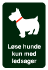 løse hunde kun med ledsager